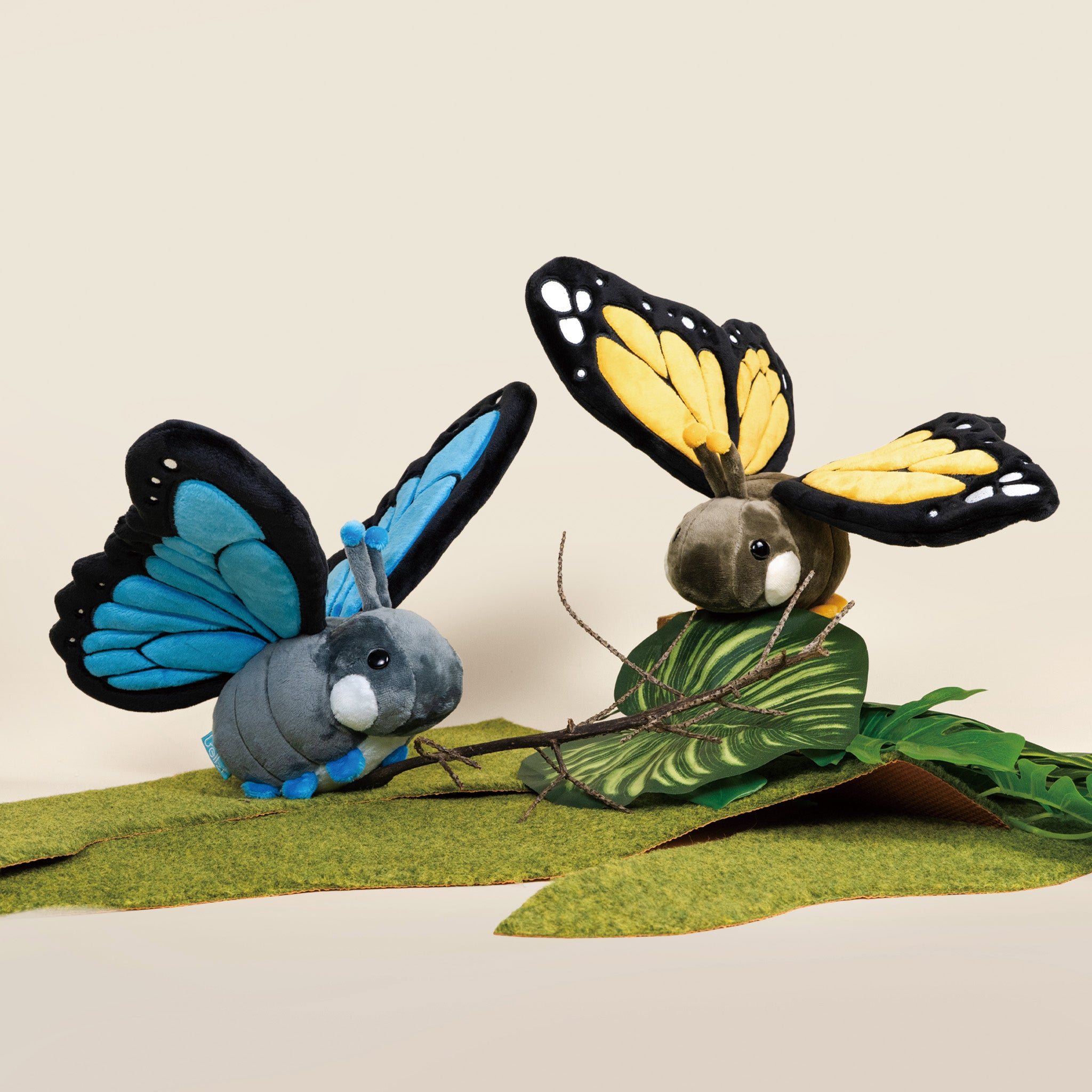 Morpho Butti ｜大藍閃蝶