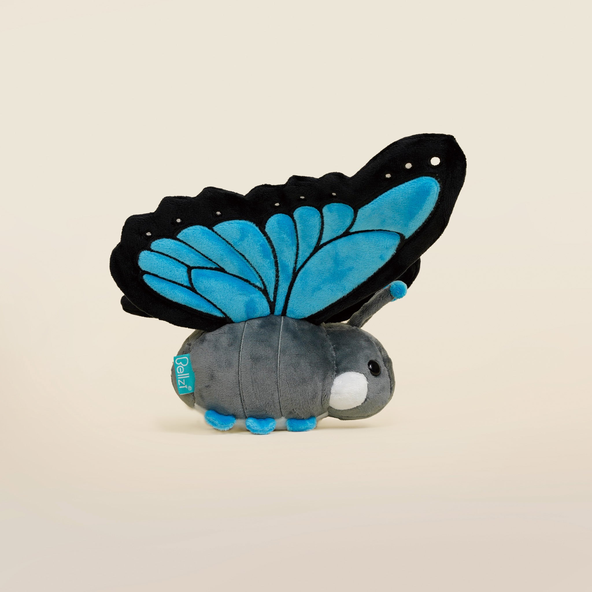 Morpho Butti ｜大藍閃蝶