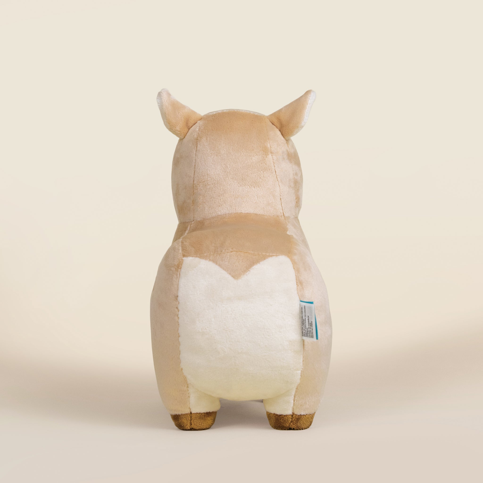 Cappi｜水豚