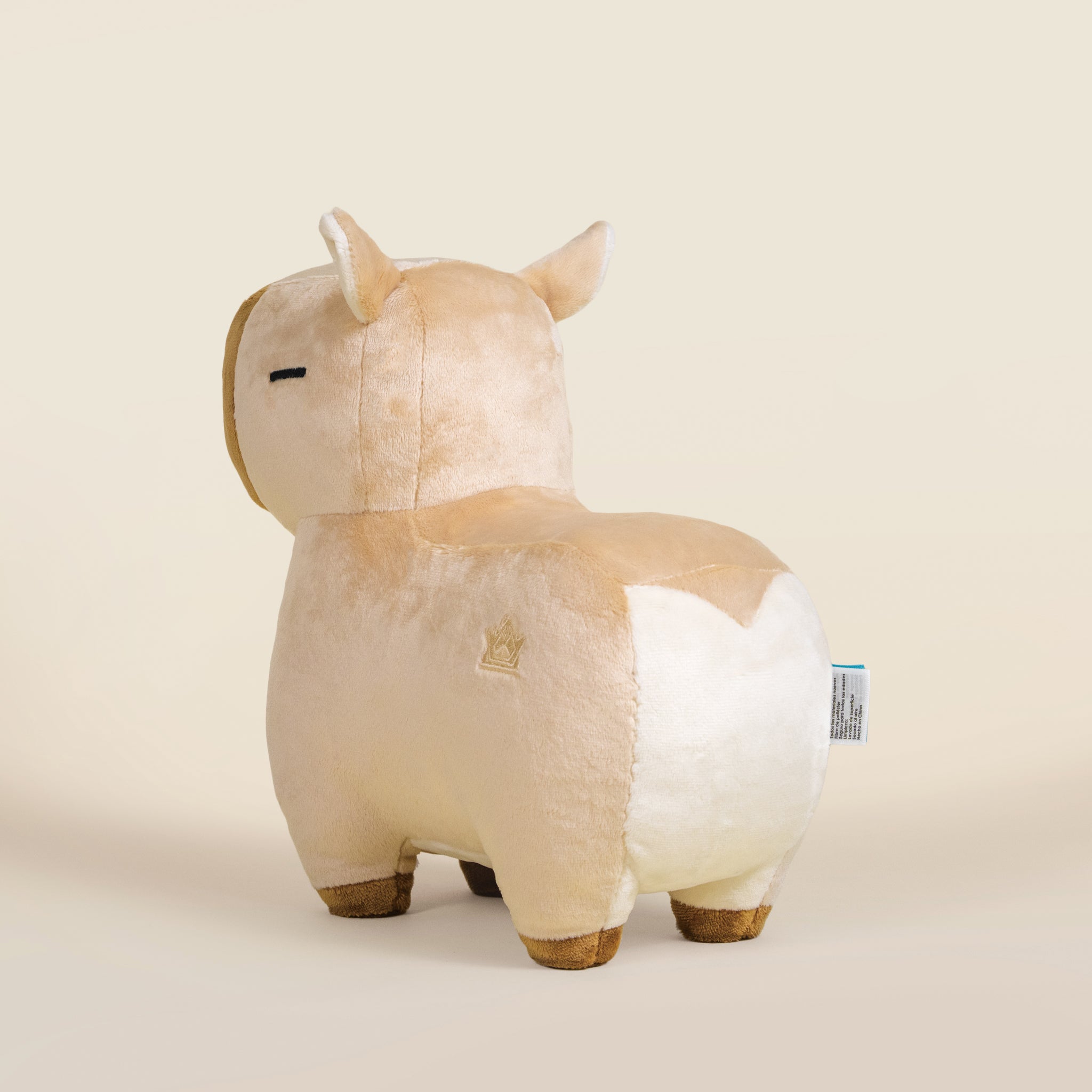 Cappi｜水豚