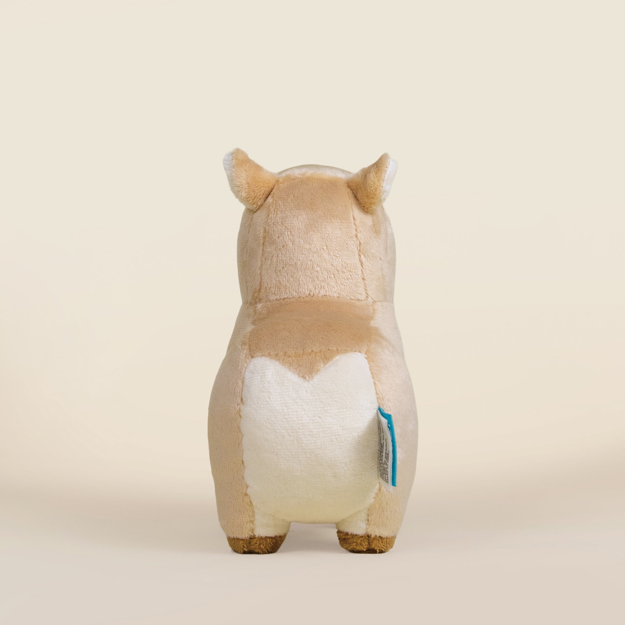 Mini Cappi｜小水豚