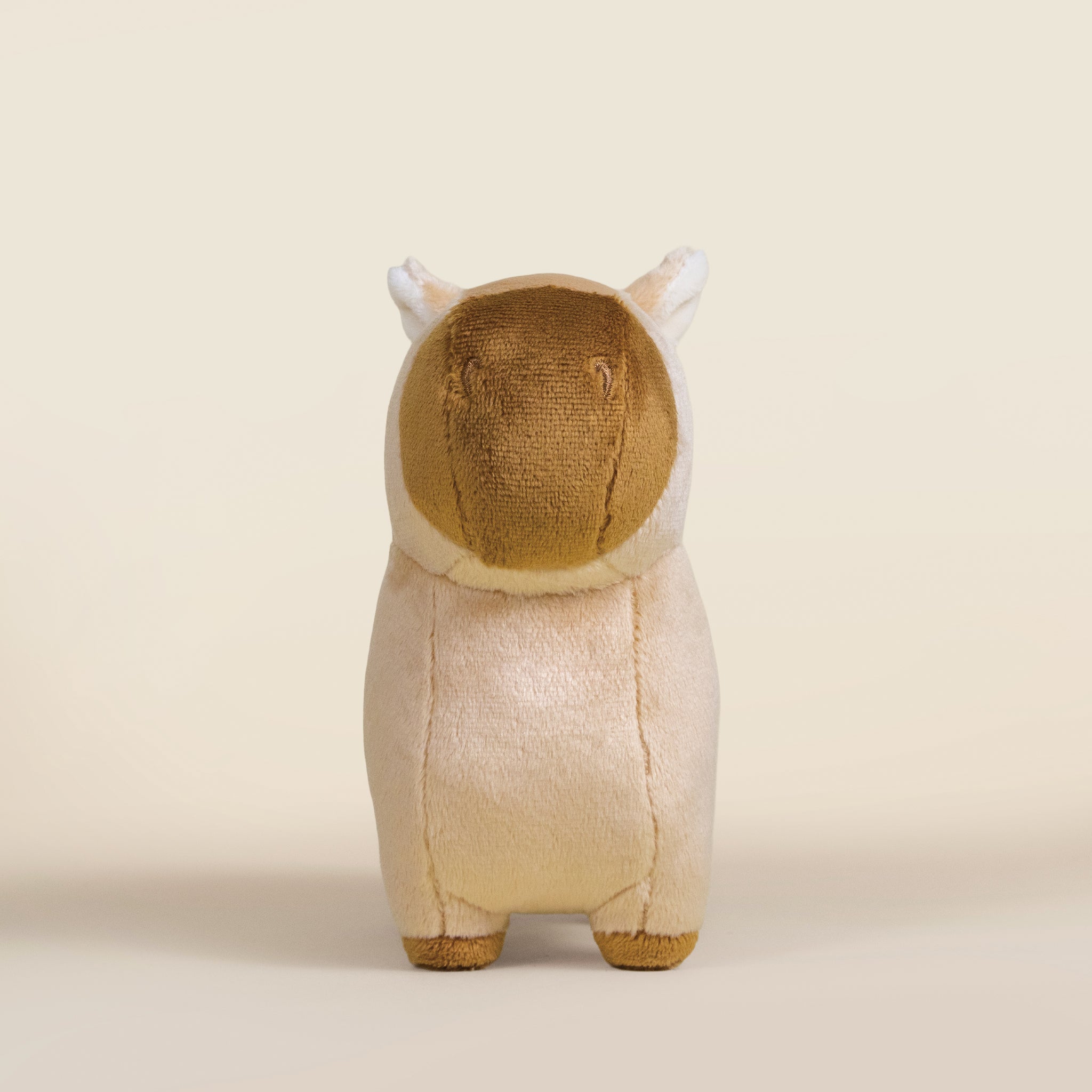 Mini Cappi｜小水豚
