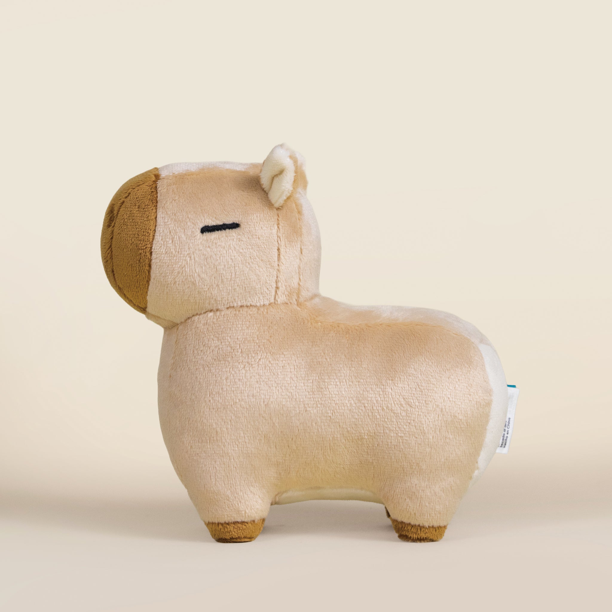 Mini Cappi｜小水豚