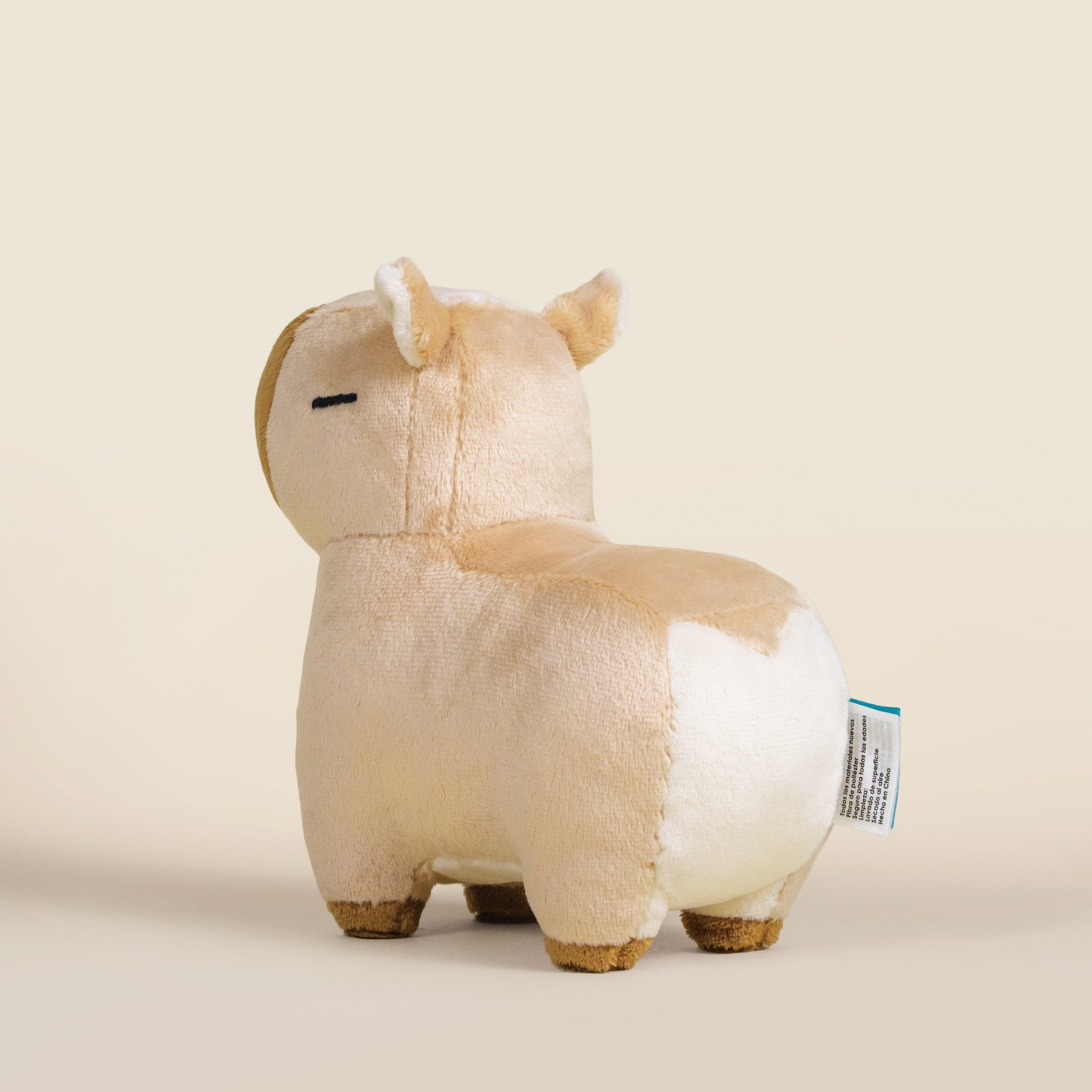 Mini Cappi｜小水豚