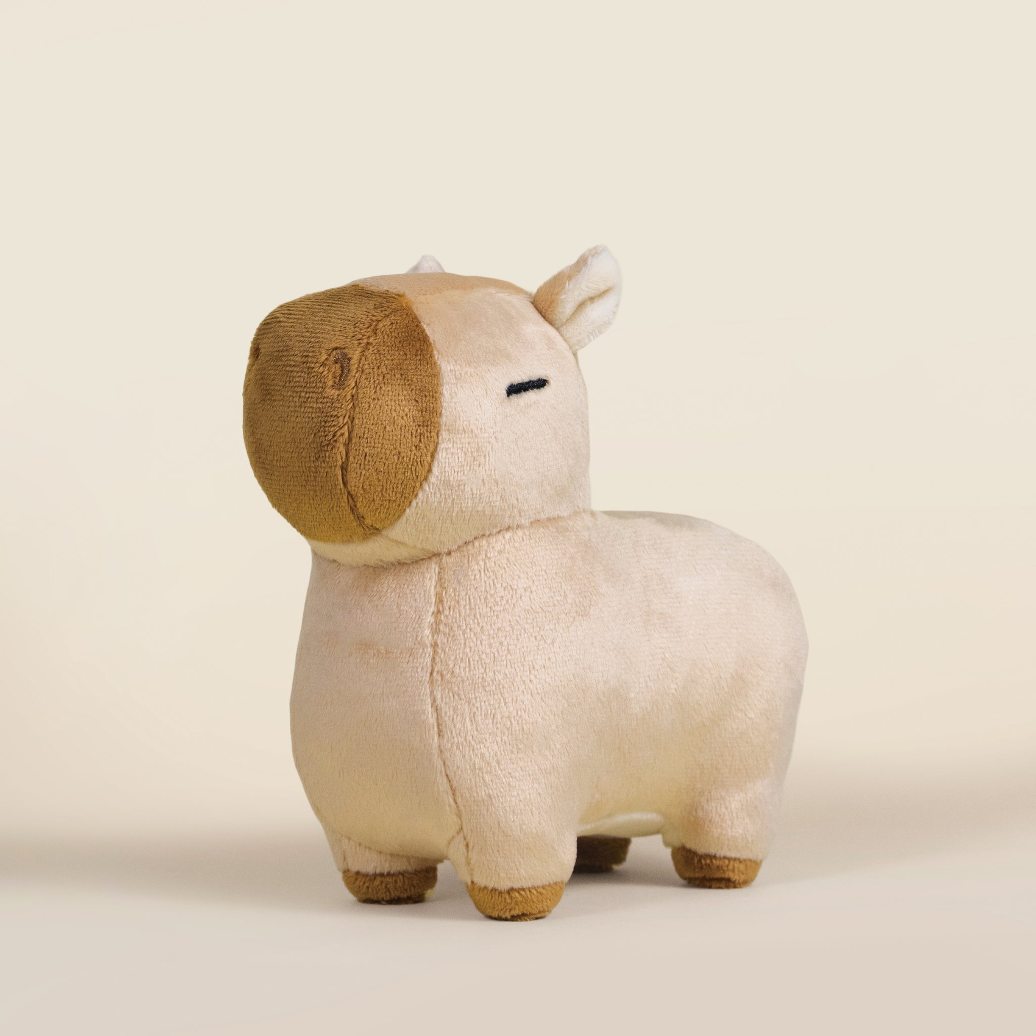 Mini Cappi｜小水豚