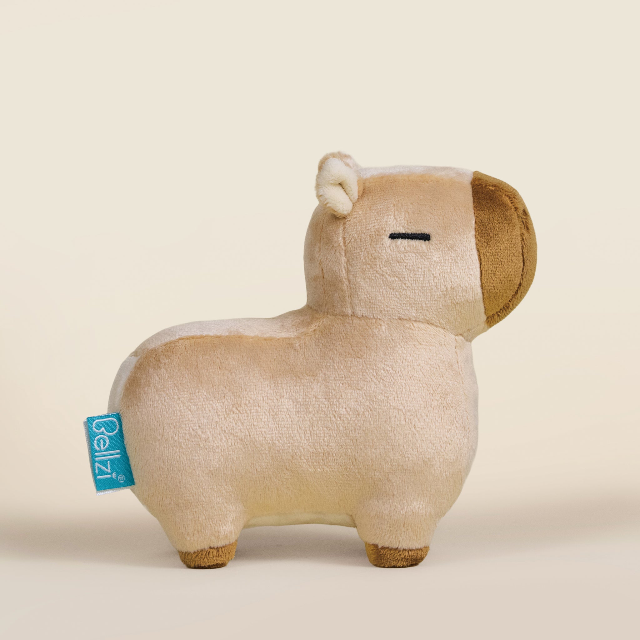 Mini Cappi｜小水豚