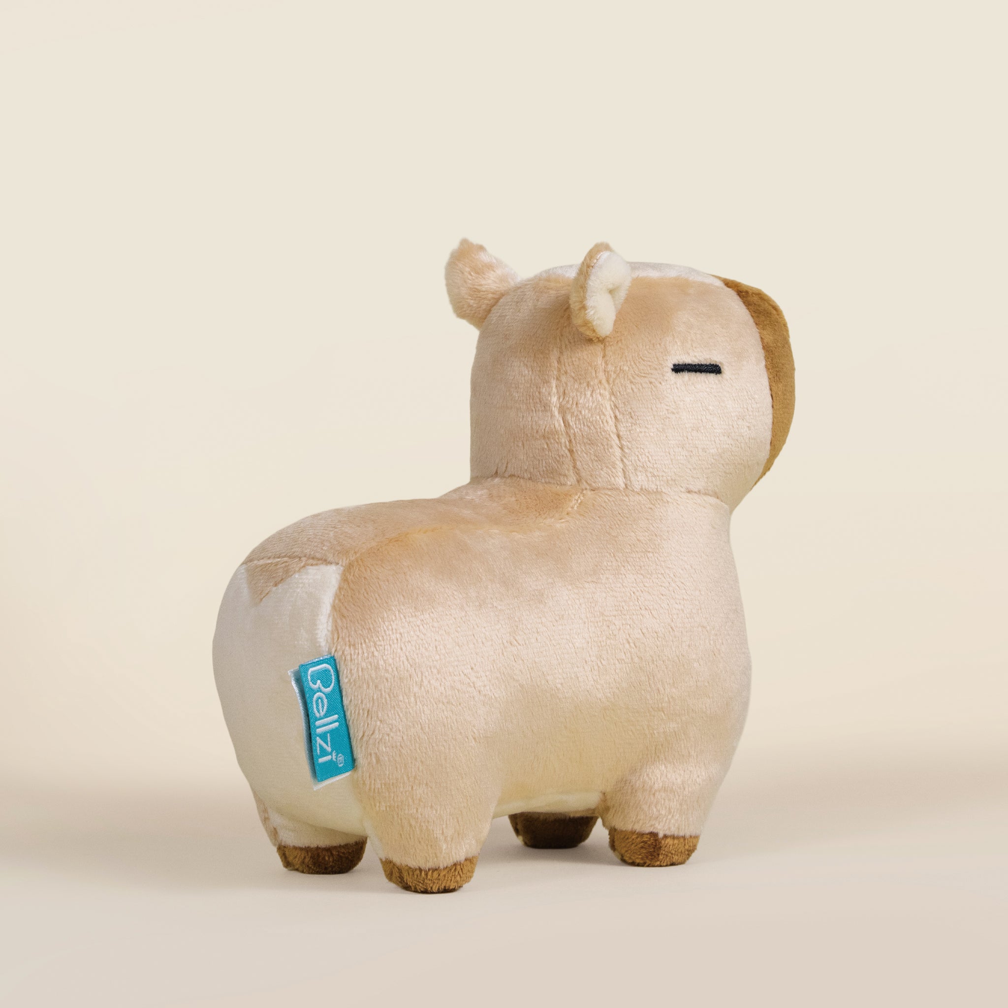 Mini Cappi｜小水豚