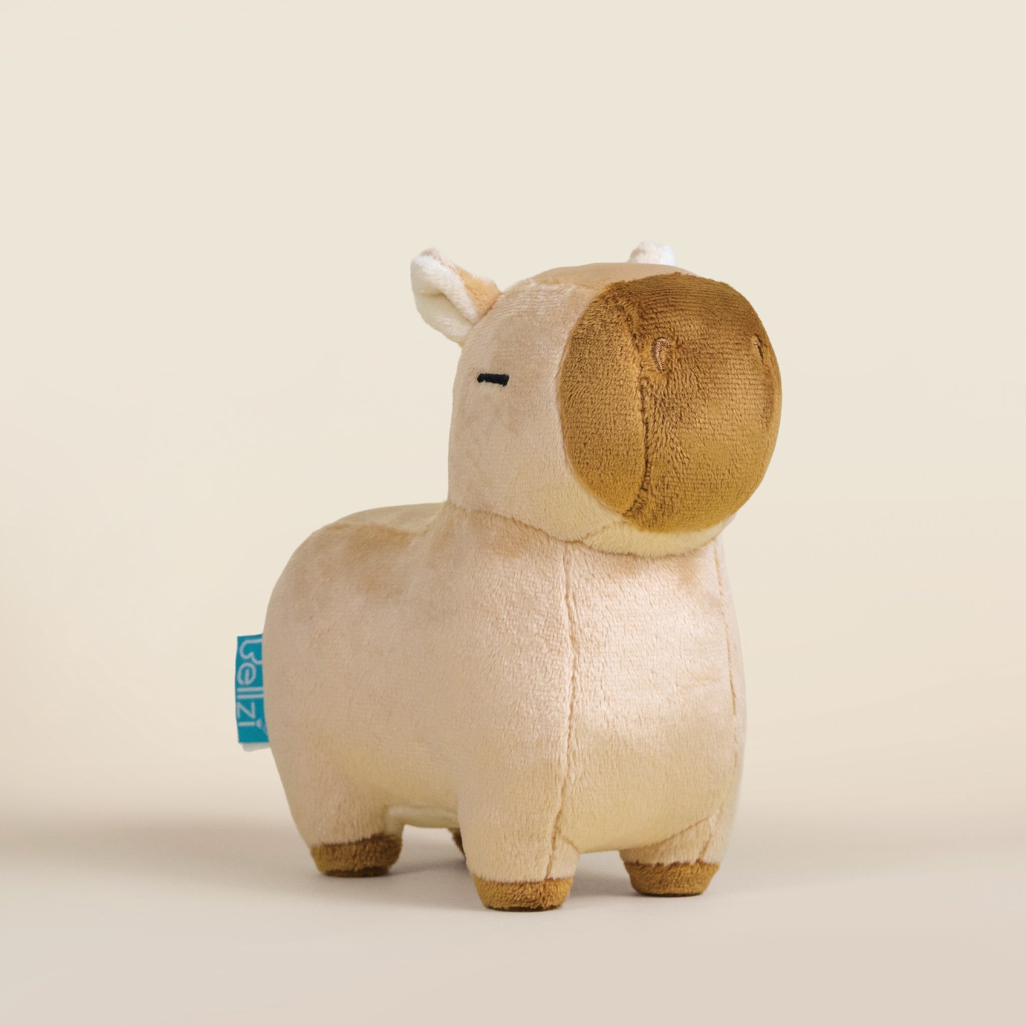 Mini Cappi｜小水豚