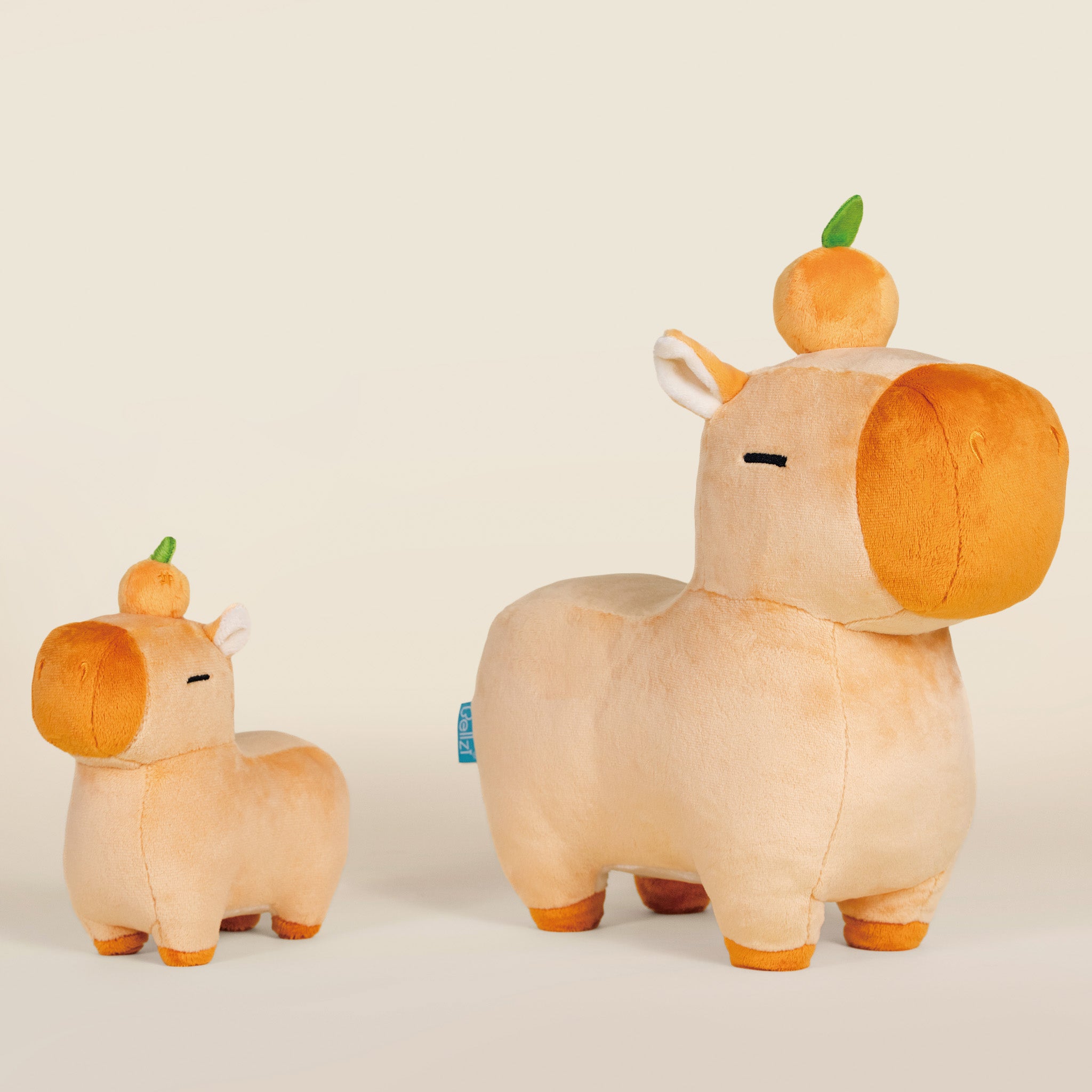 Mini Orange Cappi｜ 小橘子水豚