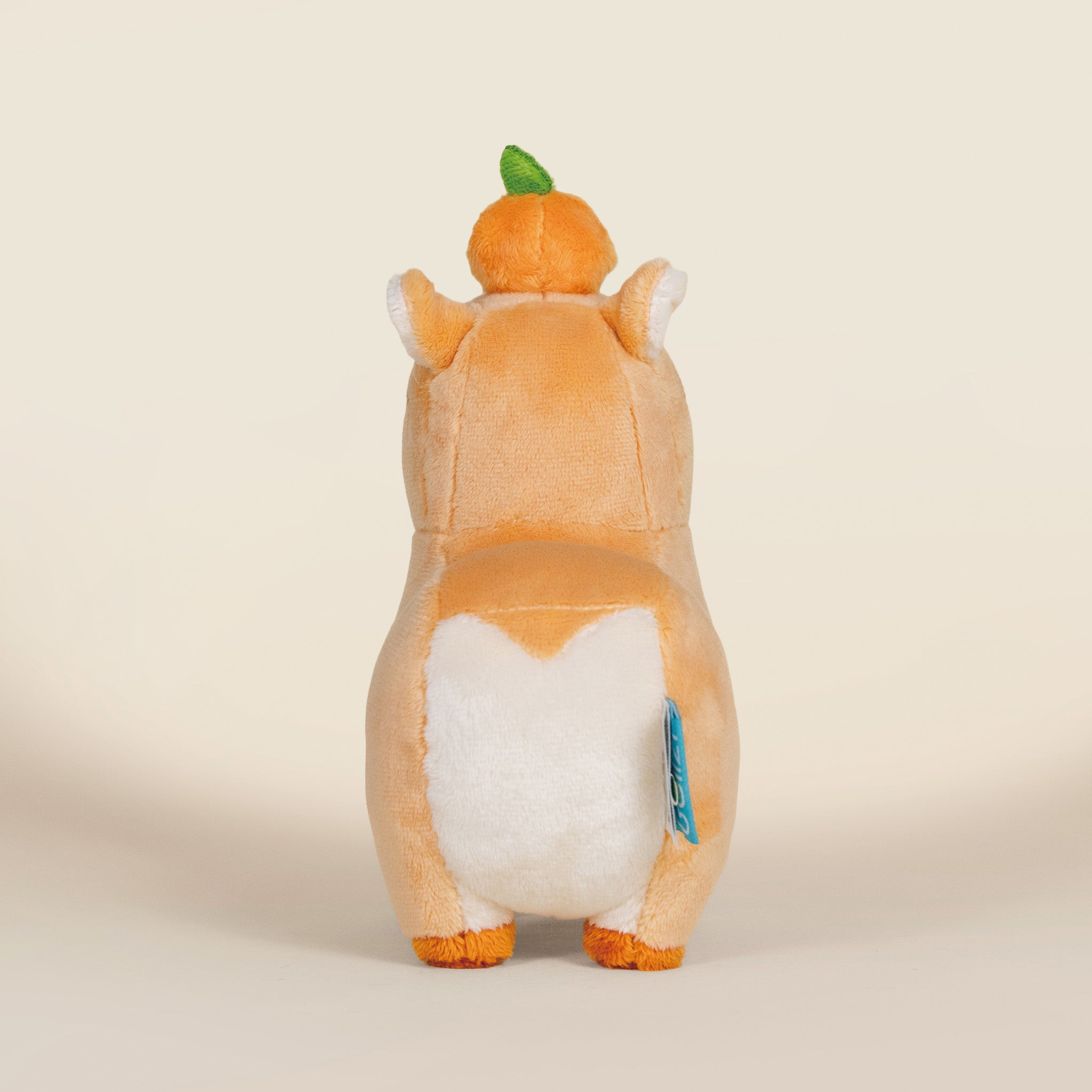 Mini Orange Cappi｜ 小橘子水豚