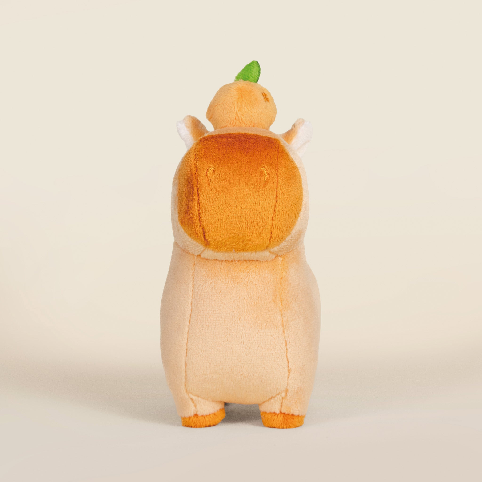 Mini Orange Cappi｜ 小橘子水豚