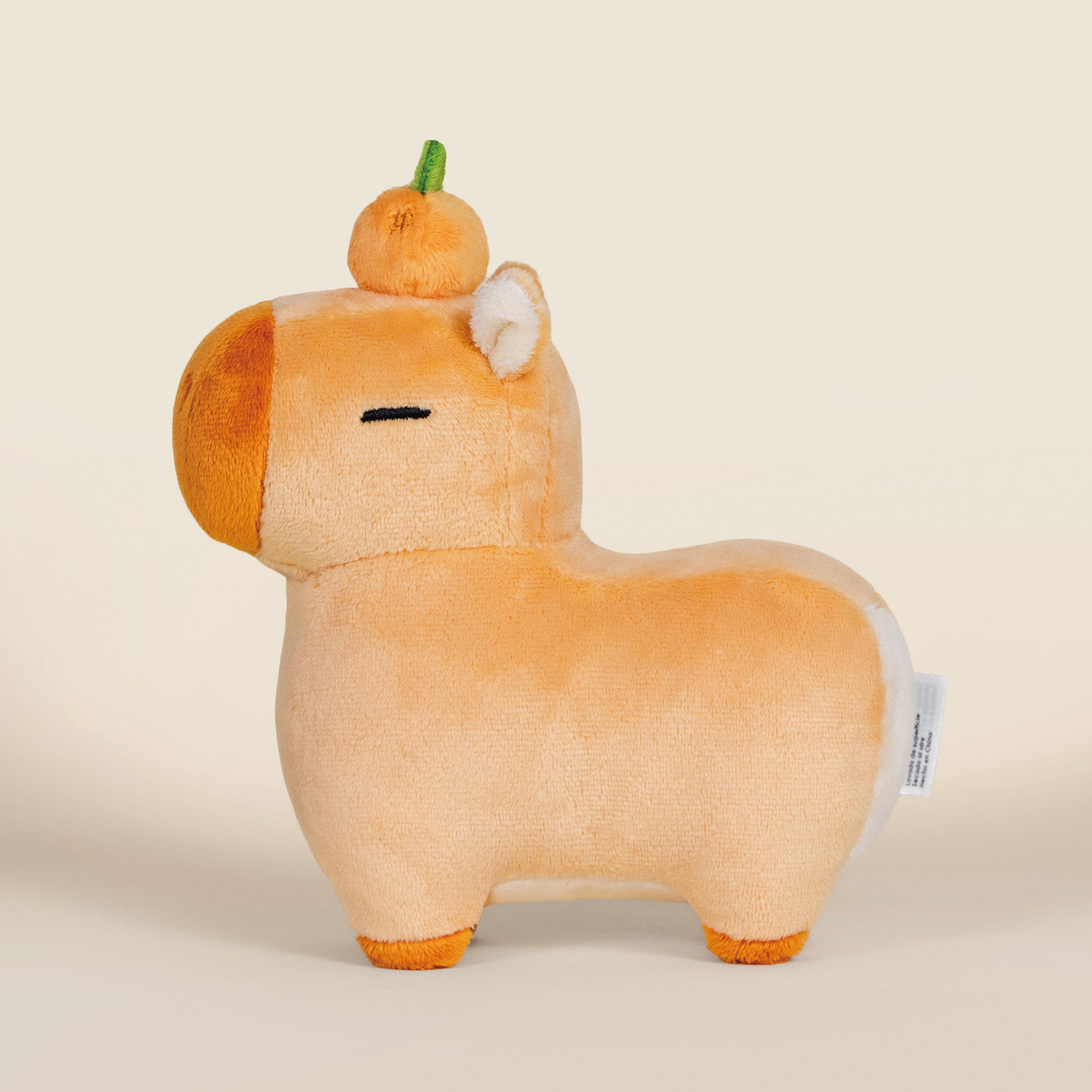 Mini Orange Cappi｜ 小橘子水豚