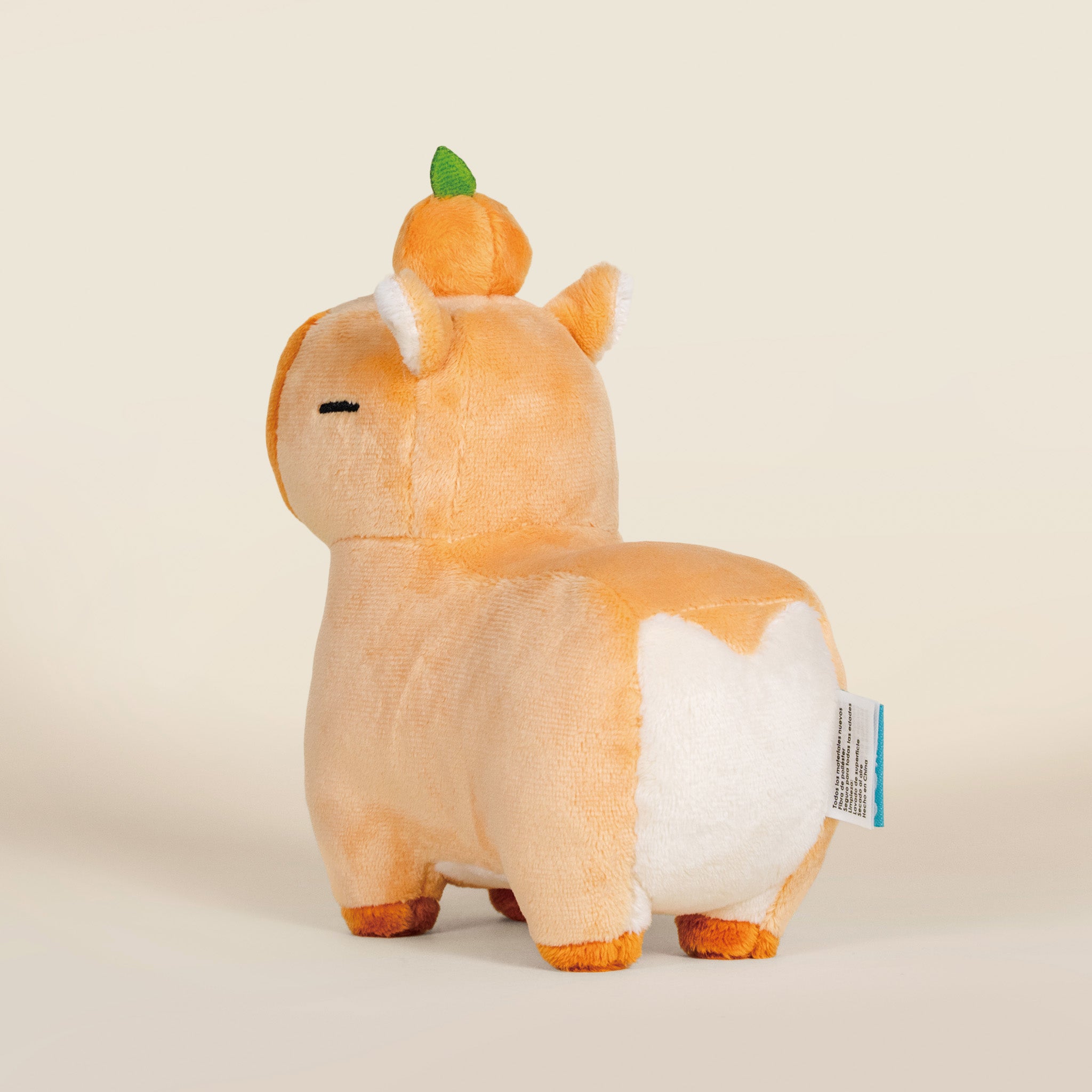 Mini Orange Cappi｜ 小橘子水豚