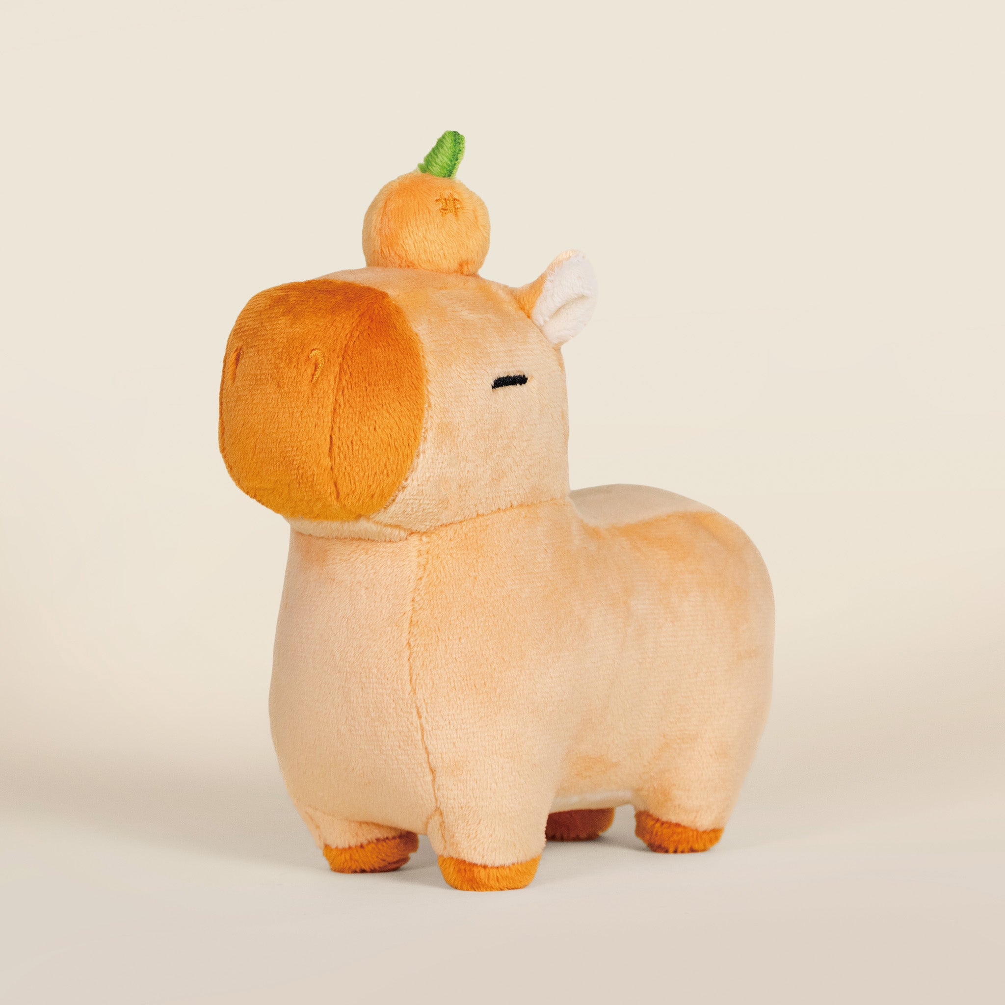 Mini Orange Cappi｜ 小橘子水豚