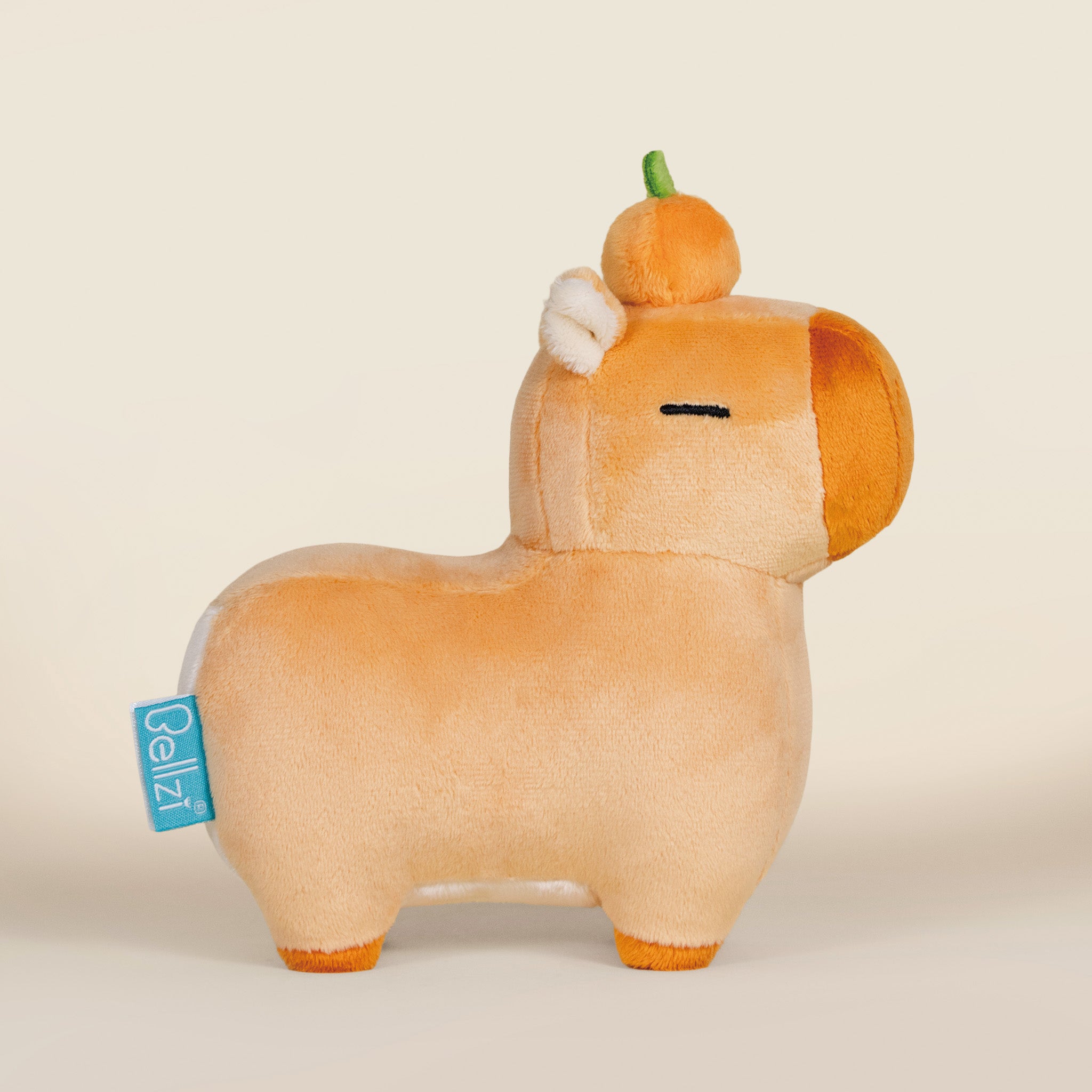 Mini Orange Cappi｜ 小橘子水豚