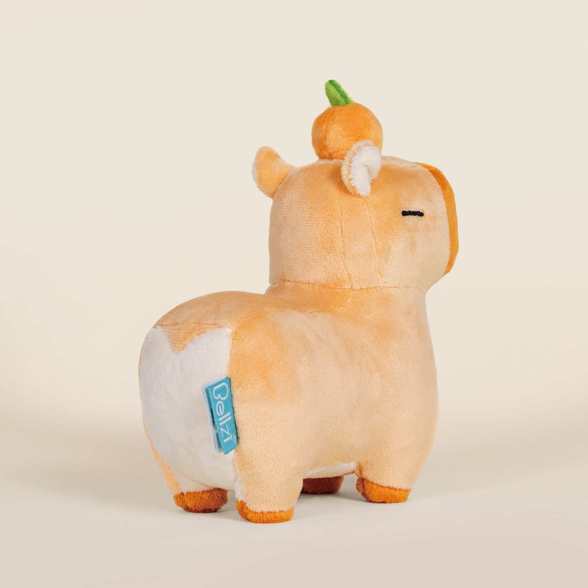Mini Orange Cappi｜ 小橘子水豚