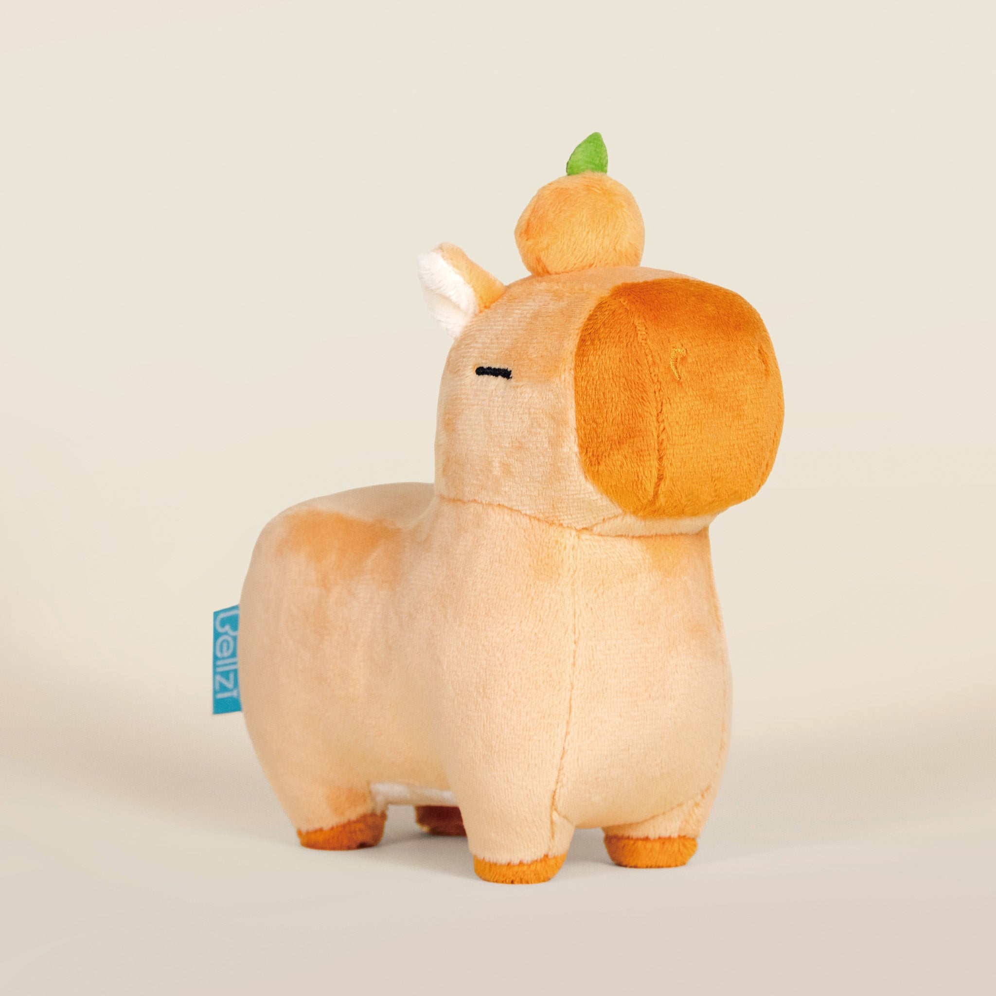 Mini Orange Cappi｜ 小橘子水豚