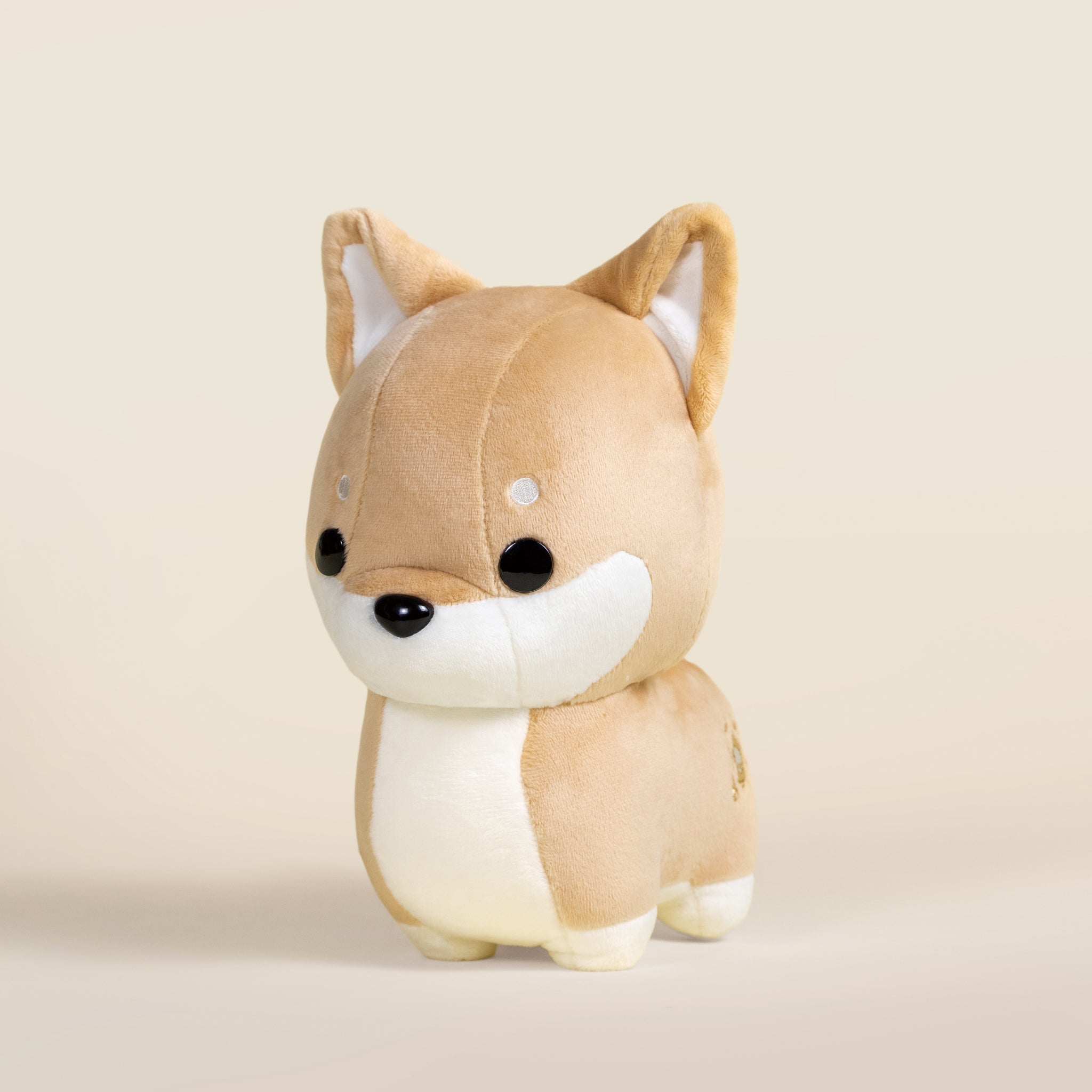 Shibi Goold Shibi|柴犬 – Bellzi Taiwan