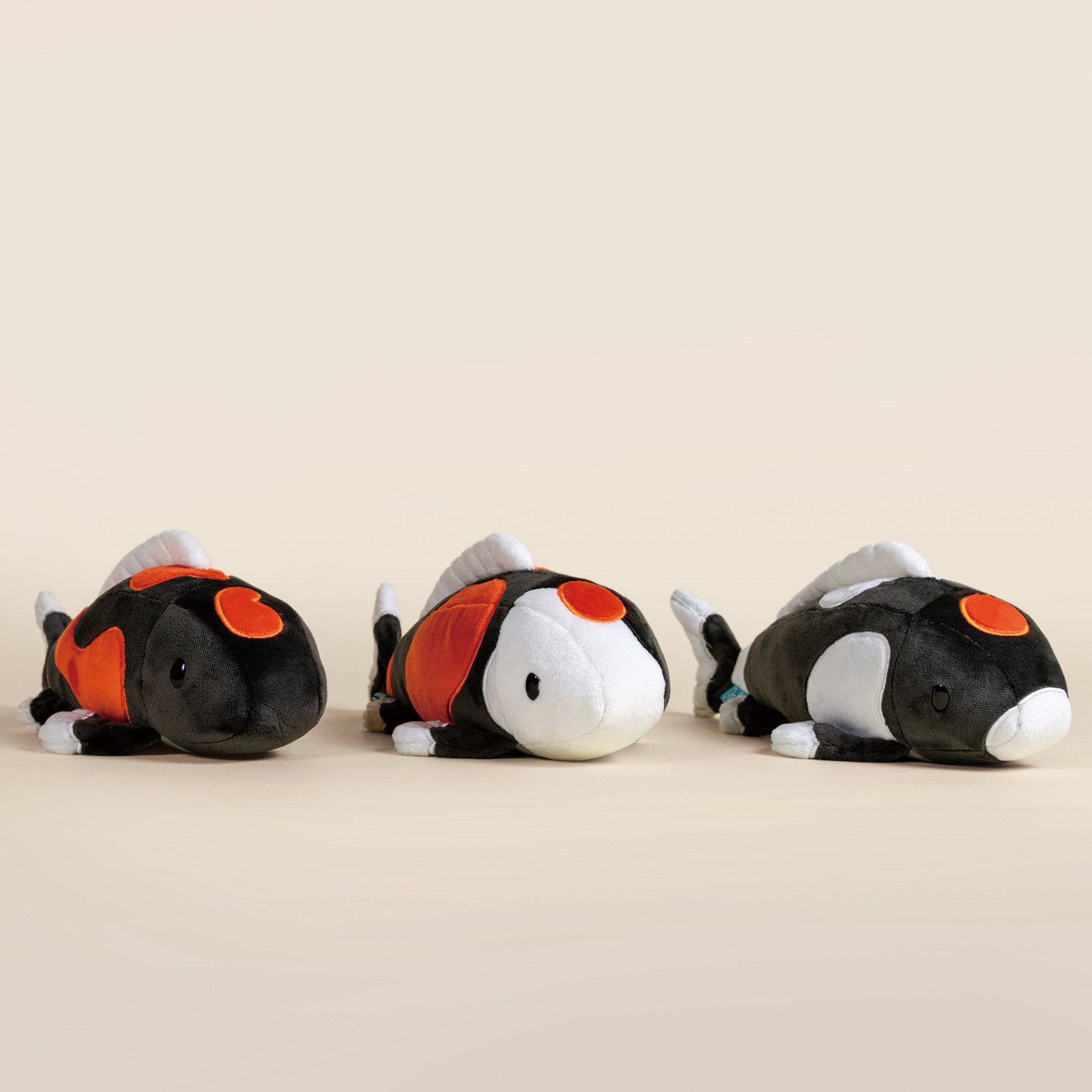 Showa Koi the Koi Fish | 昭和錦鯉 – Bellzi Taiwan