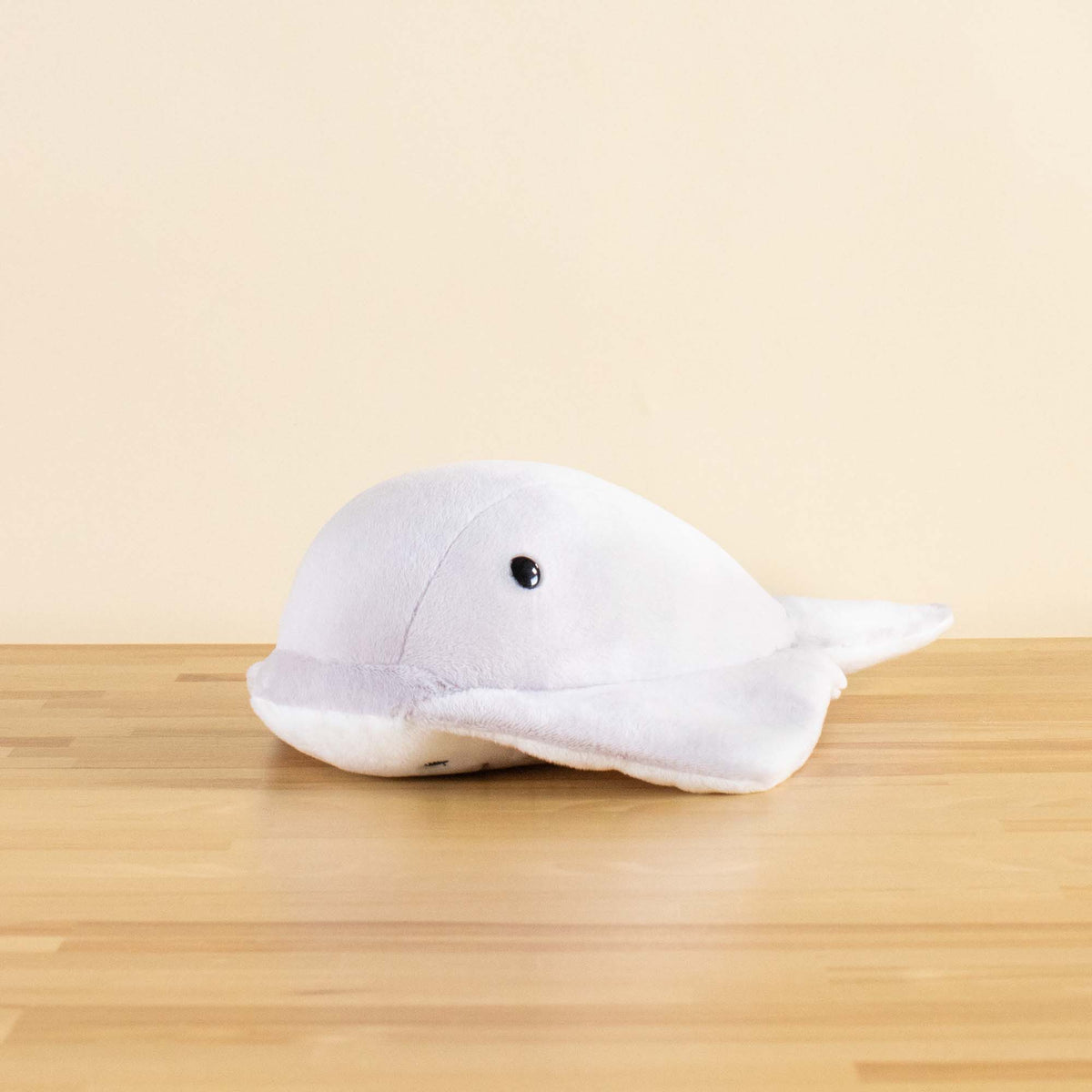 Stingi｜魟魚 – Bellzi Taiwan